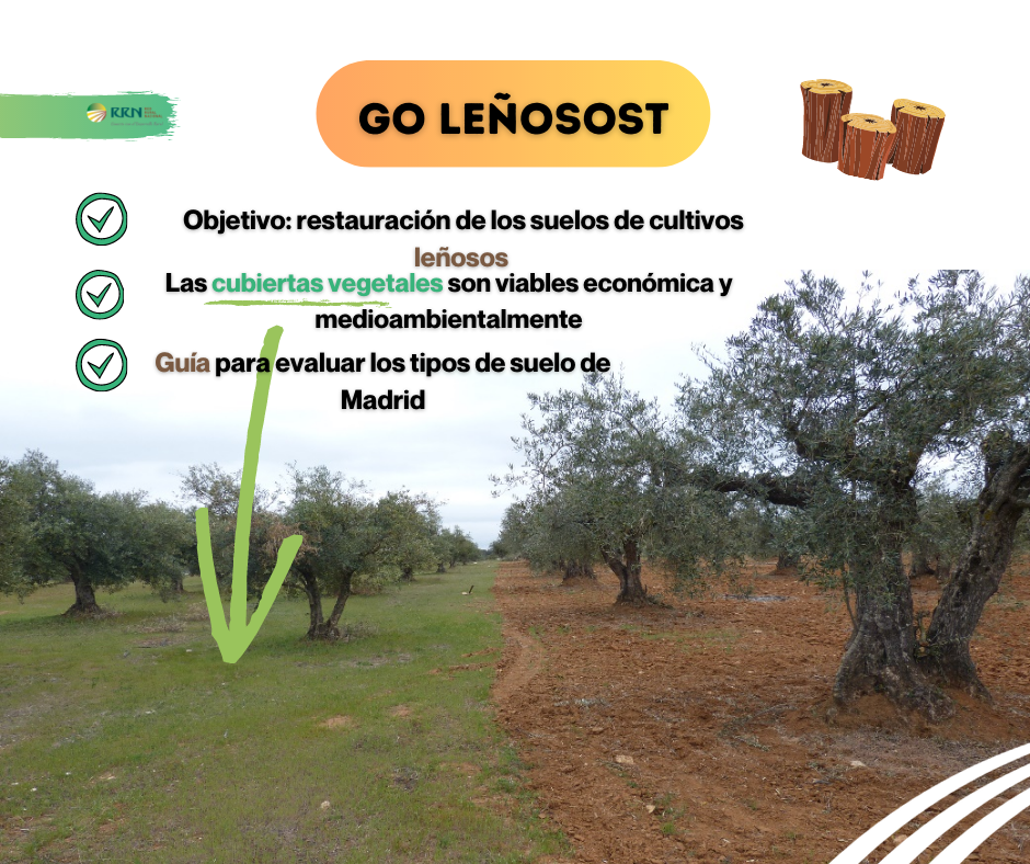 Grupo Operativo Leñosost