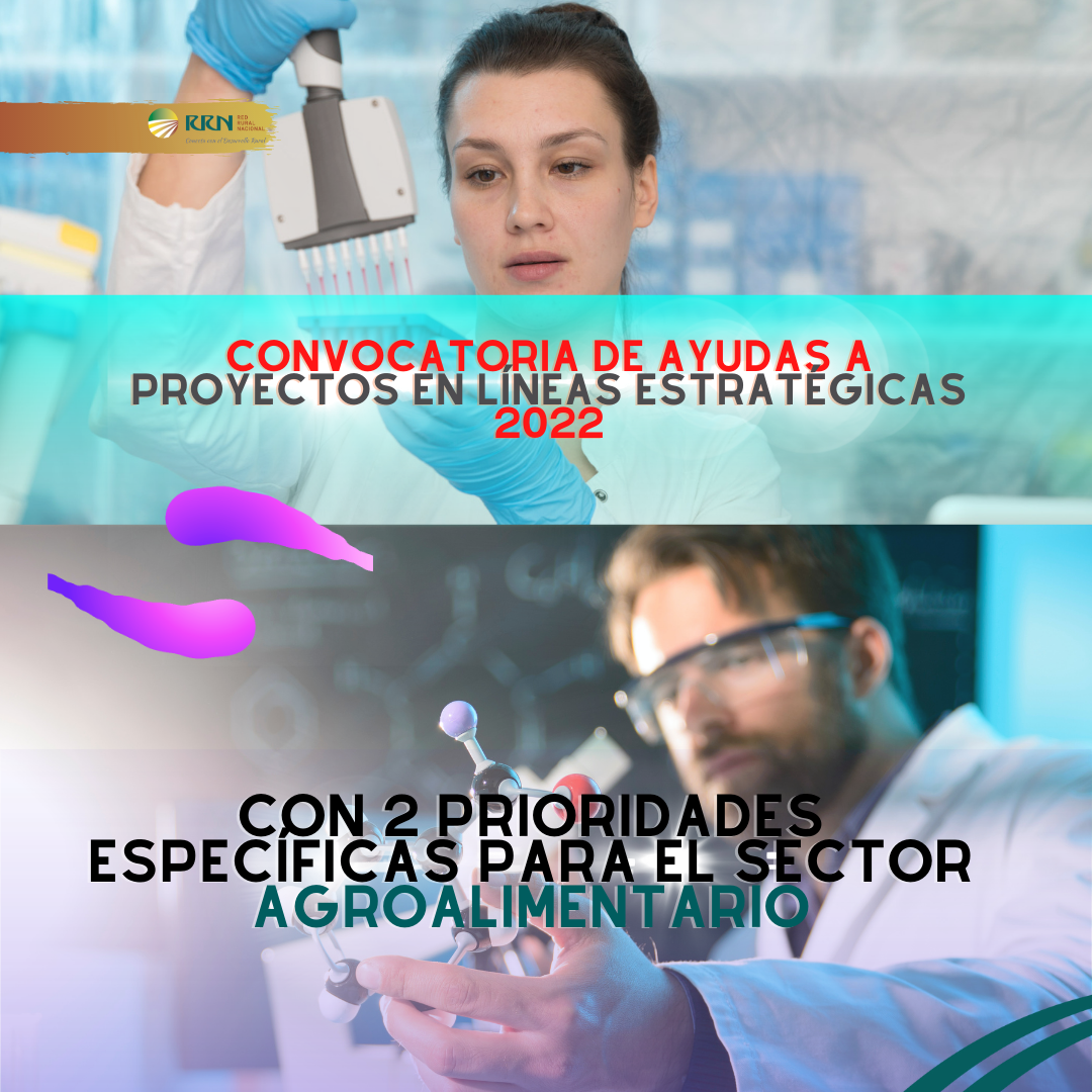 La Agencia Estatal de Investigación convoca las ayudas a proyectos en líneas estratégicas 2022