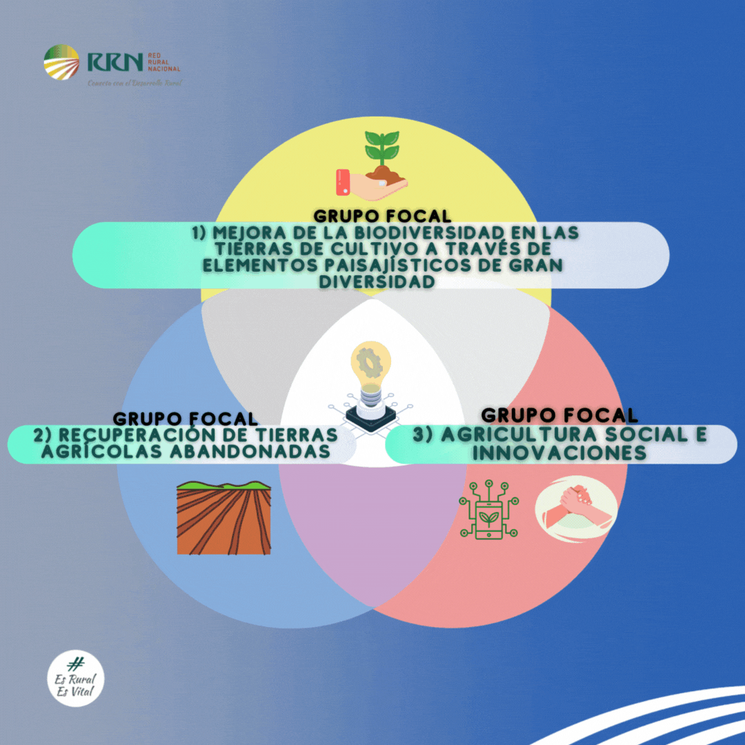 La “Asociación Europea para la Innovación” constituye tres nuevos Grupos Focales