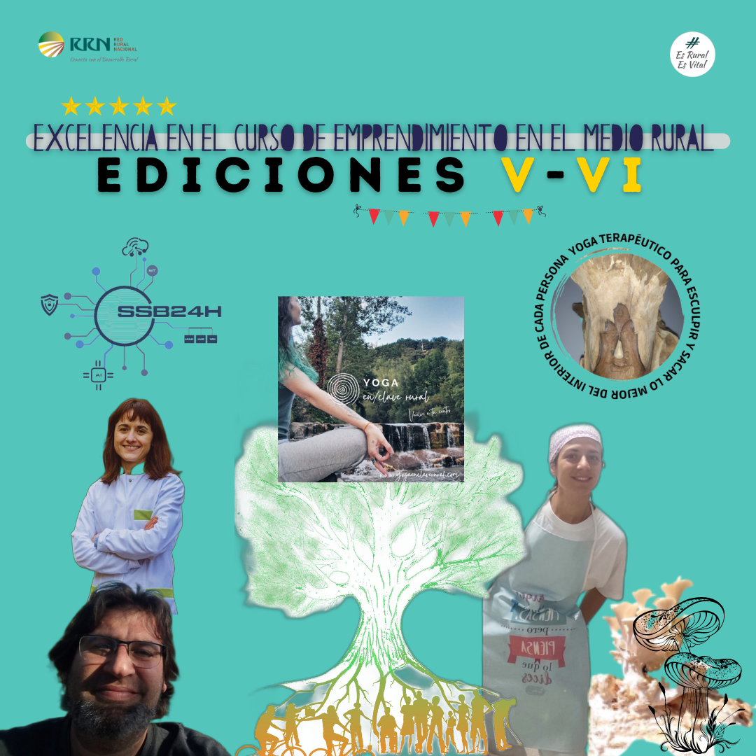 CEMR V y VI Excelencia