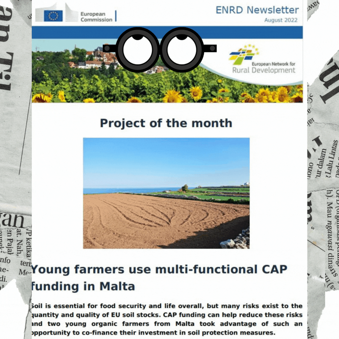 BOLETÍN RED EUROPEA DE DESARROLLO RURAL (ENRD) AGOSTO 2022