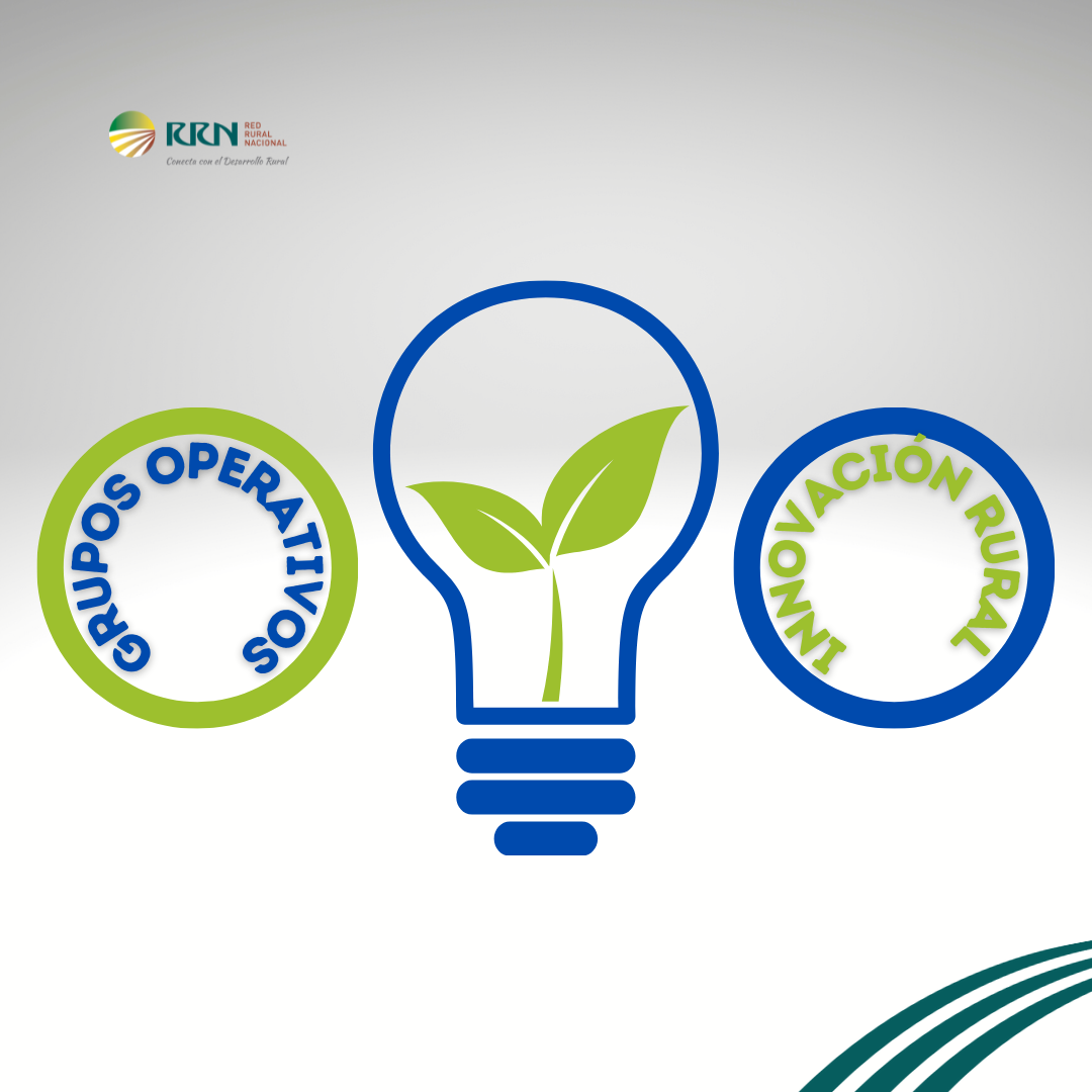 Consulta la información de los Grupos Operativos aprobados