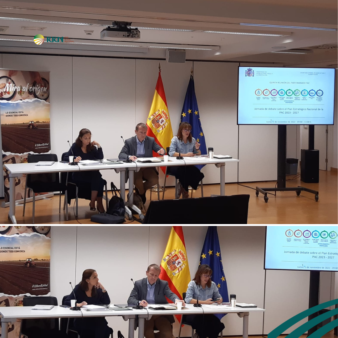 La Red Rural Nacional celebra la quinta reunión del partenariado para presentar las principales novedades sobre el Plan Estratégico de la PAC 2023 – 2027