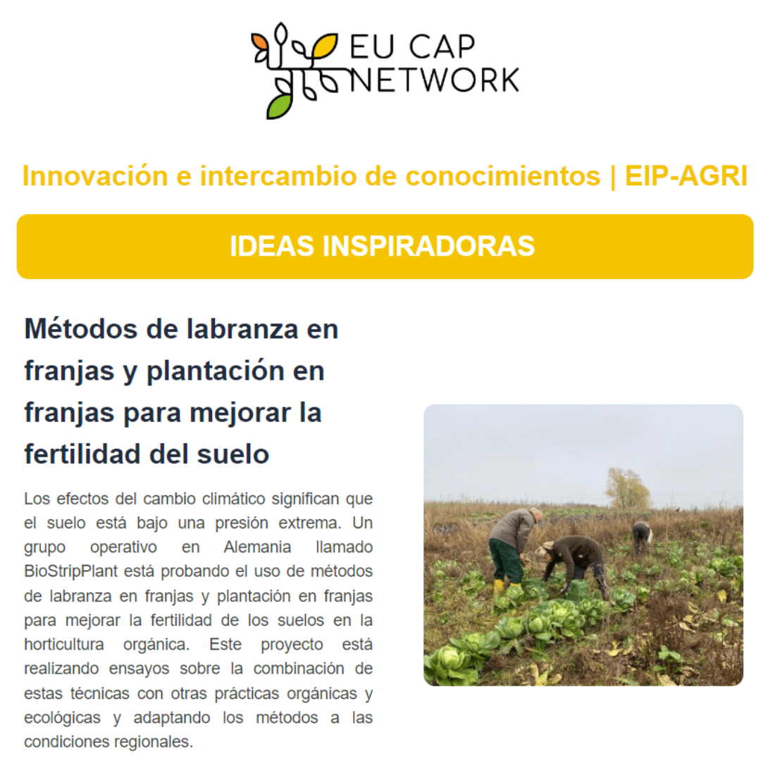 Boletín de "Innovación e intercambio de conocimientos" 