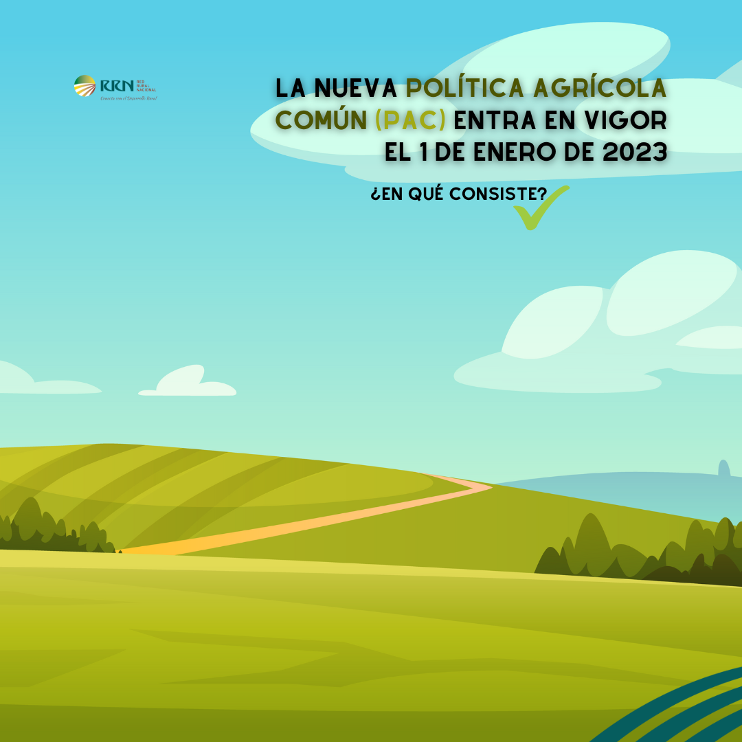 La aprobación de los 28 Planes Estratégicos de la PAC por parte de la Comisión Europea a cada Estado miembro da el pistoletazo de salida al nuevo Plan Estratégico de la PAC 2023-2027