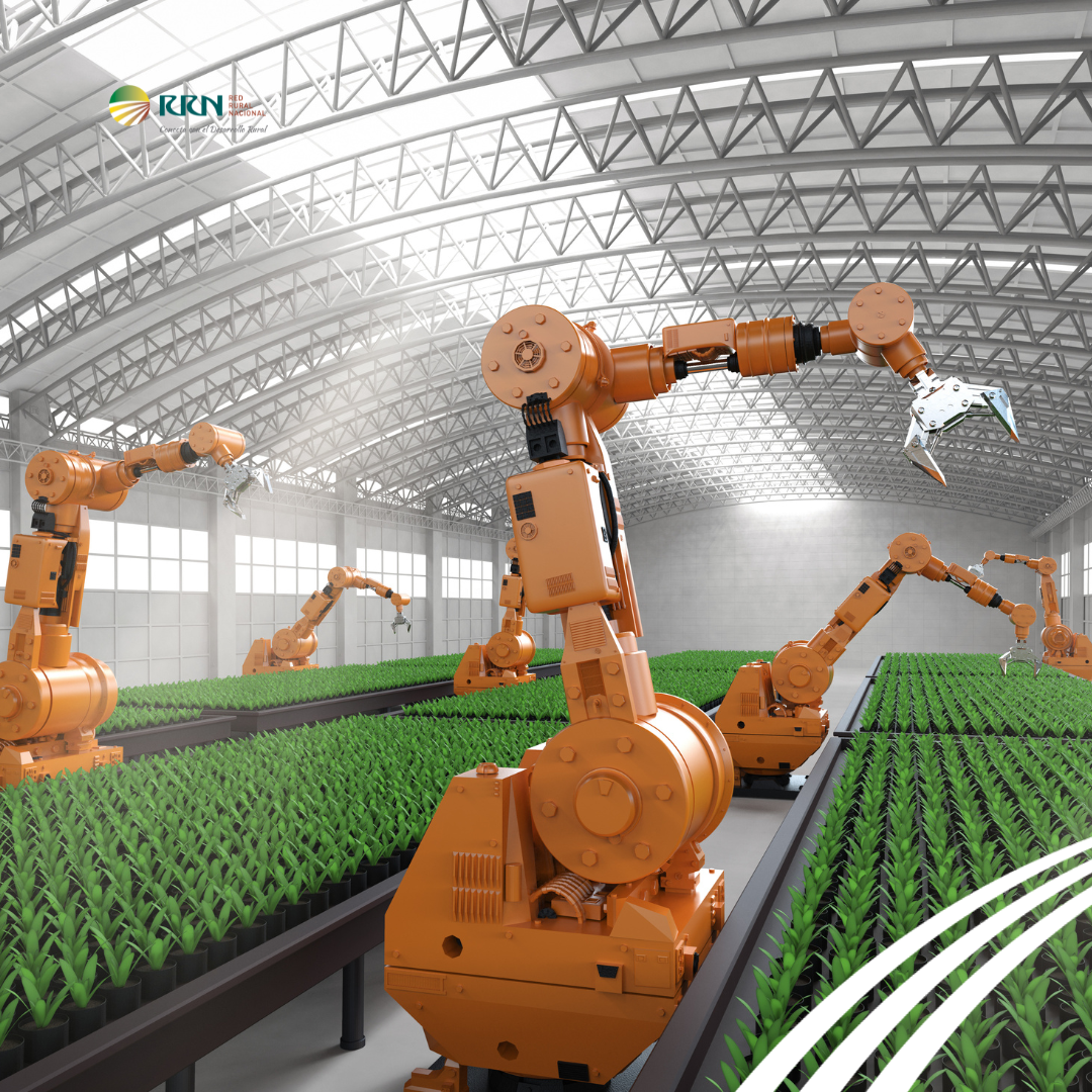 Grupos operativos supraautonómicos