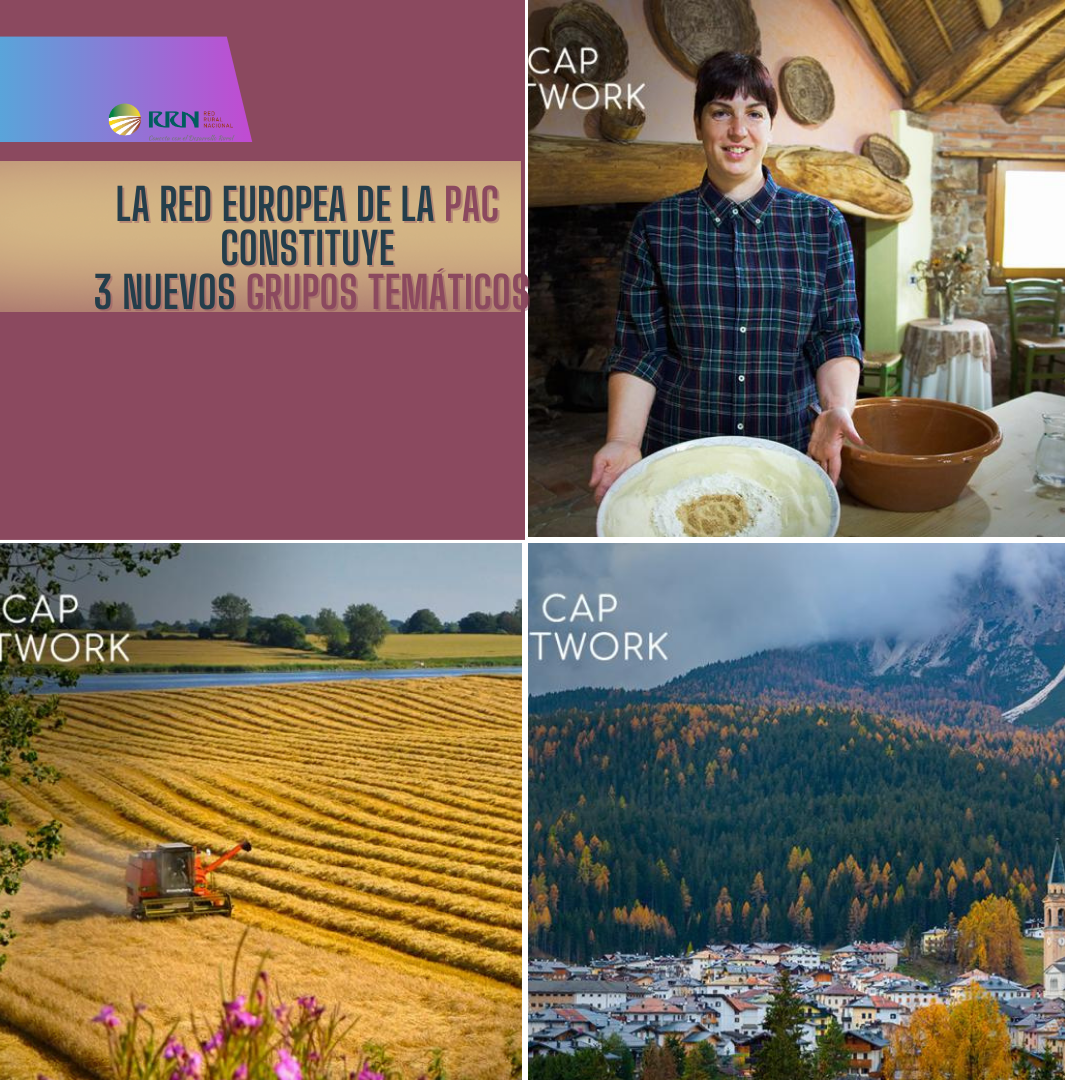 La Red Europea de la PAC constituye 3 nuevos Grupos Temáticos