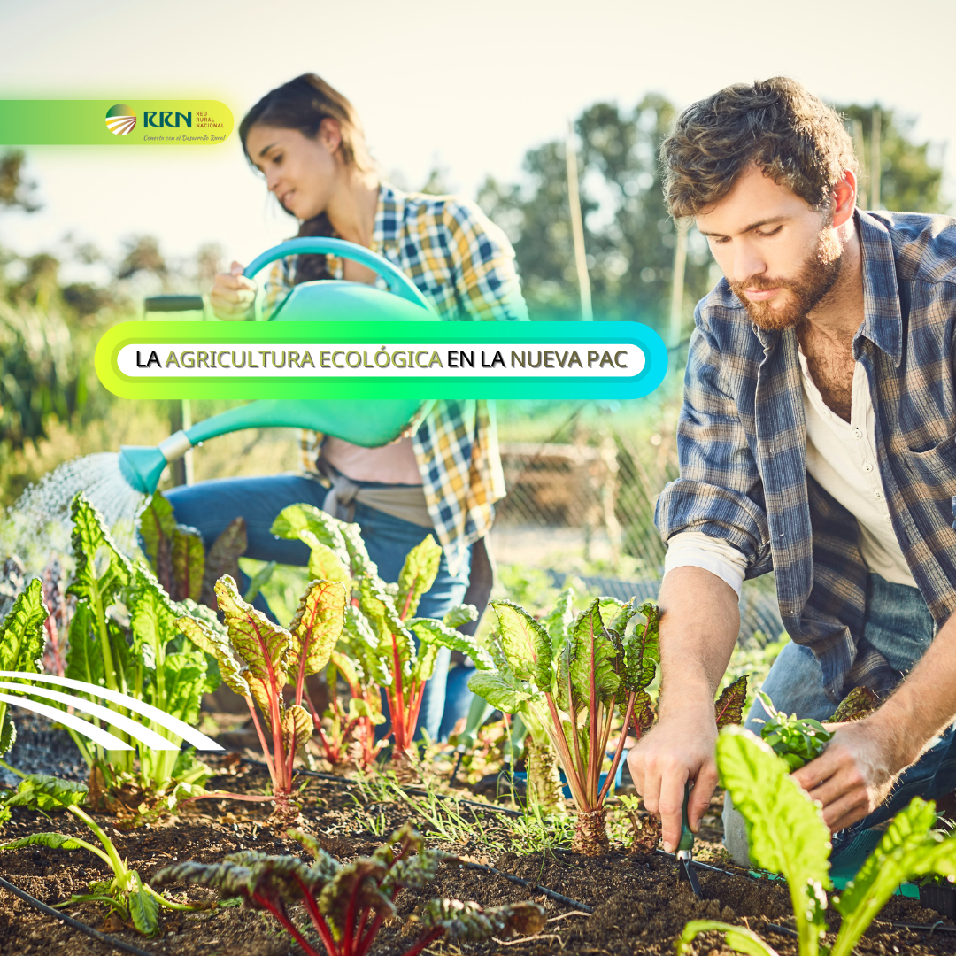  La nueva PAC refuerza su apoyo al desarrollo de la agricultura ecológica en la Unión Europea