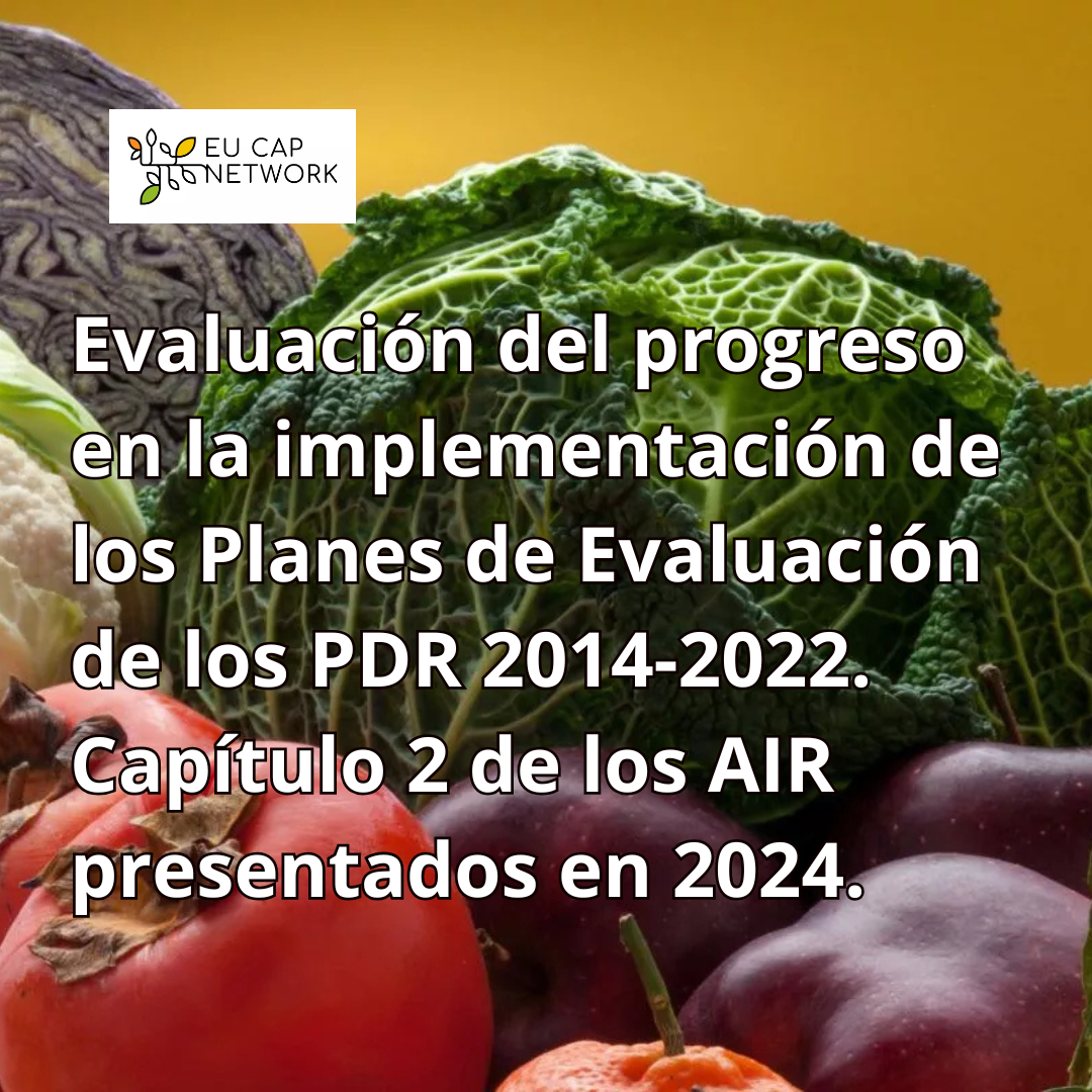 Evaluación del progreso en la implementación de los Planes de Evaluación de los PDR 2014-2022