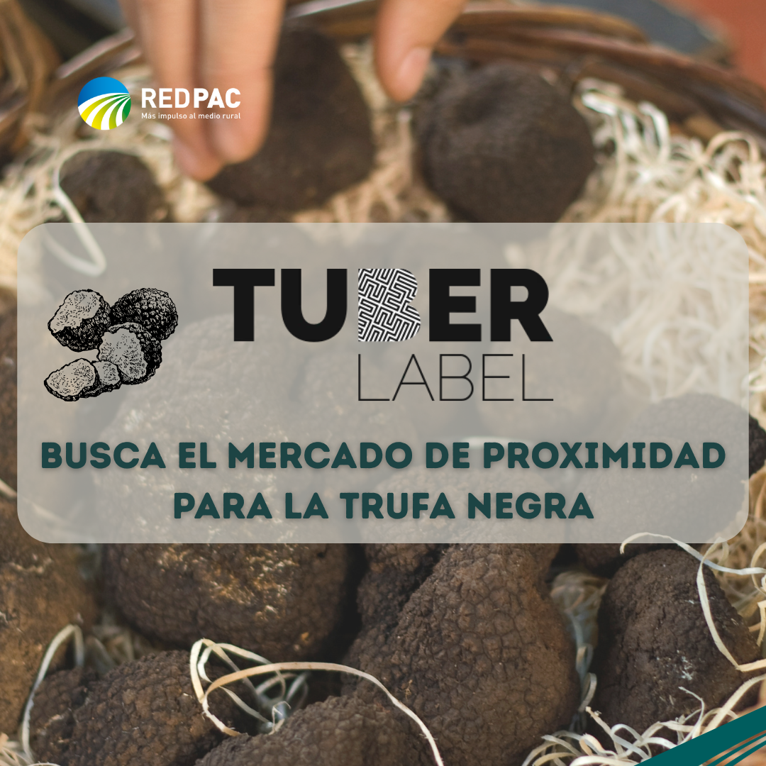 El Grupo Operativo Tuber Label busca el mercado de proximidad para la trufa negra