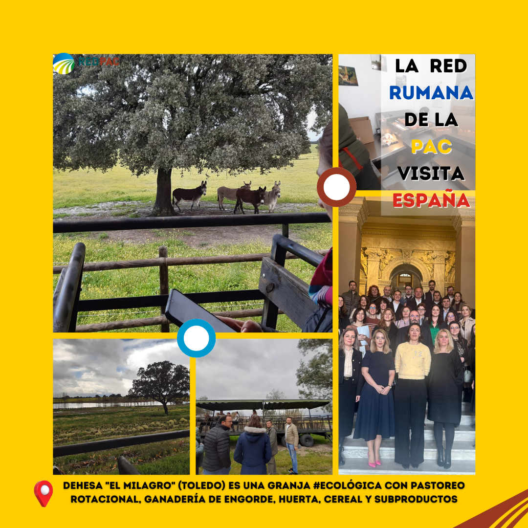 La Red Rumana de la PAC visita España para conocer buenas prácticas agrarias y rurales