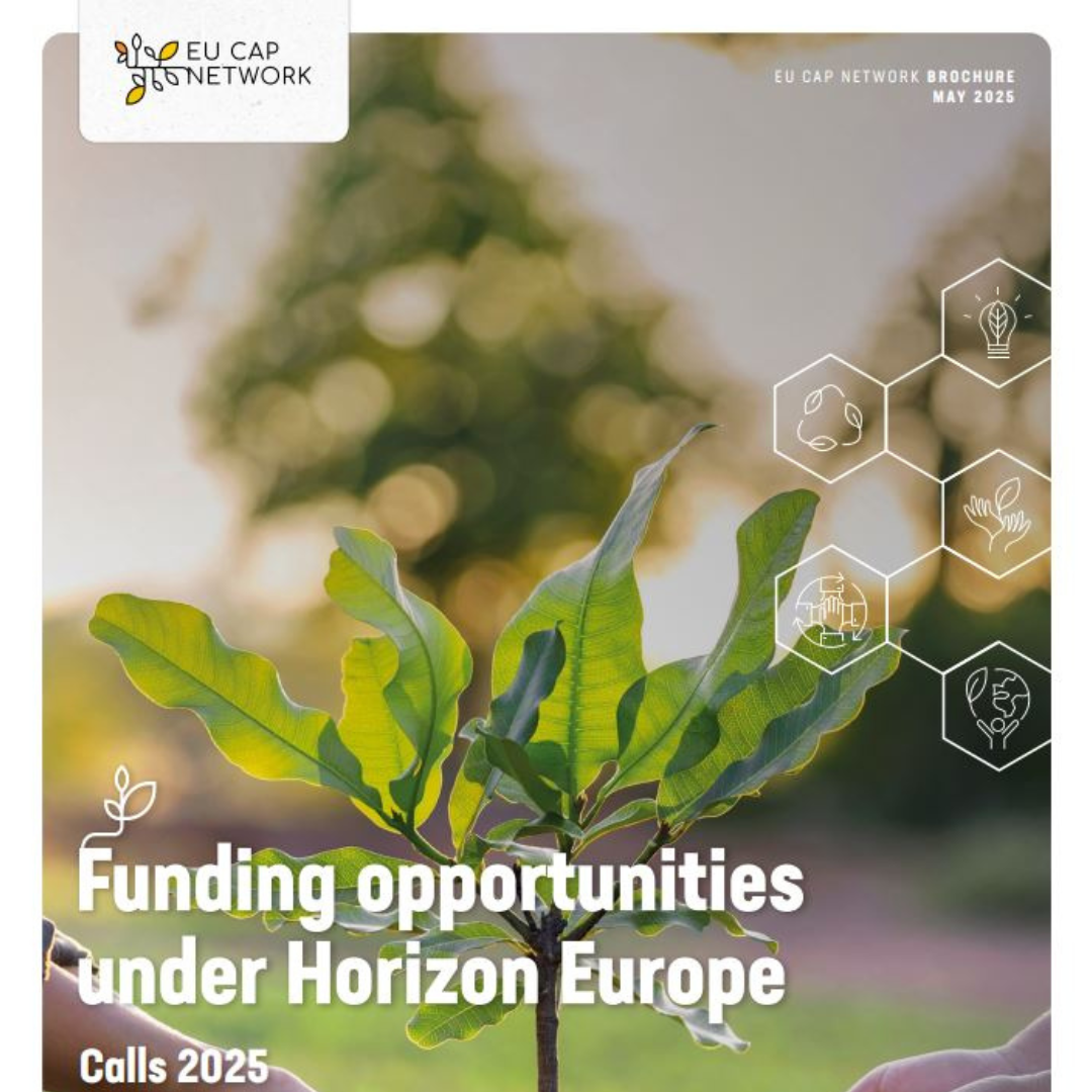 Oportunidades de financiación en las convocatorias de Horizonte Europa 2025