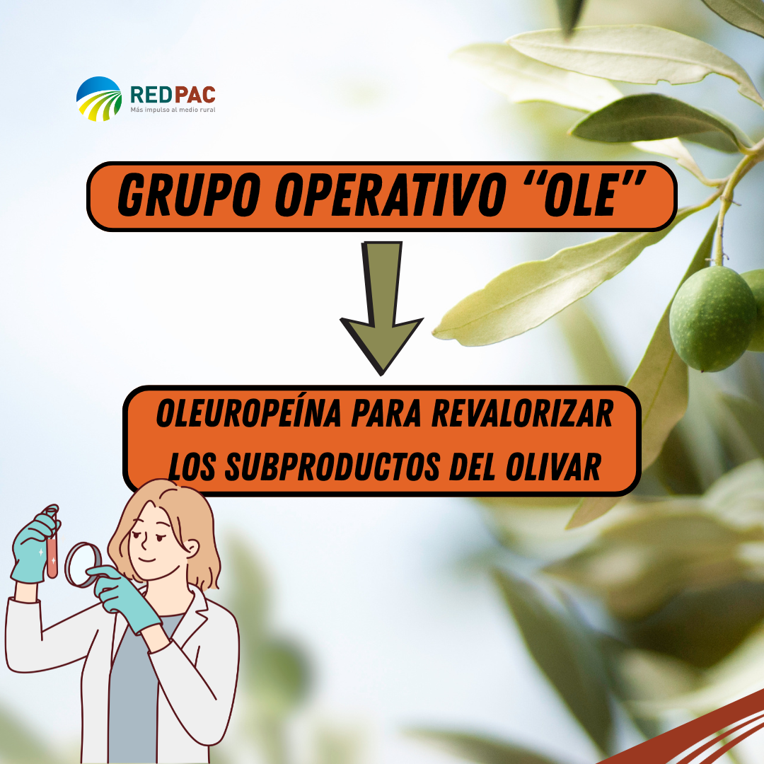 El Grupo Operativo “OLE” utiliza la oleuropeína para revalorizar los subproductos del olivar