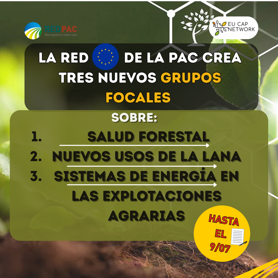 La Red Europea de la PAC lanza 3 nuevos Grupos Focales en torno a la salud forestal, la revitalización de la lana y la energía en las explotaciones agrarias