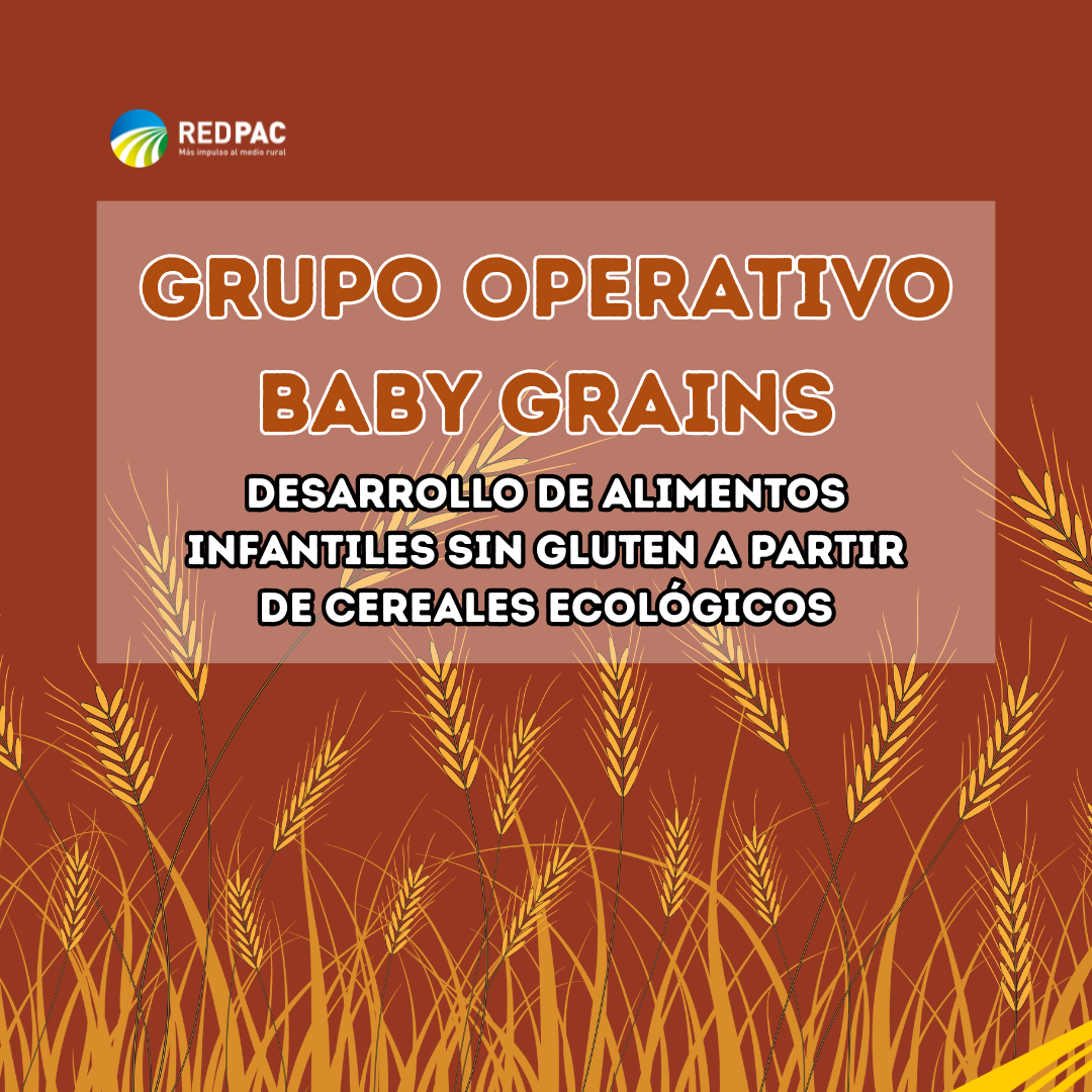 El Grupo Operativo “BABY GRAINS” desarrolla alimentos infantiles sin gluten a partir de cereales ecológicos en Aragón