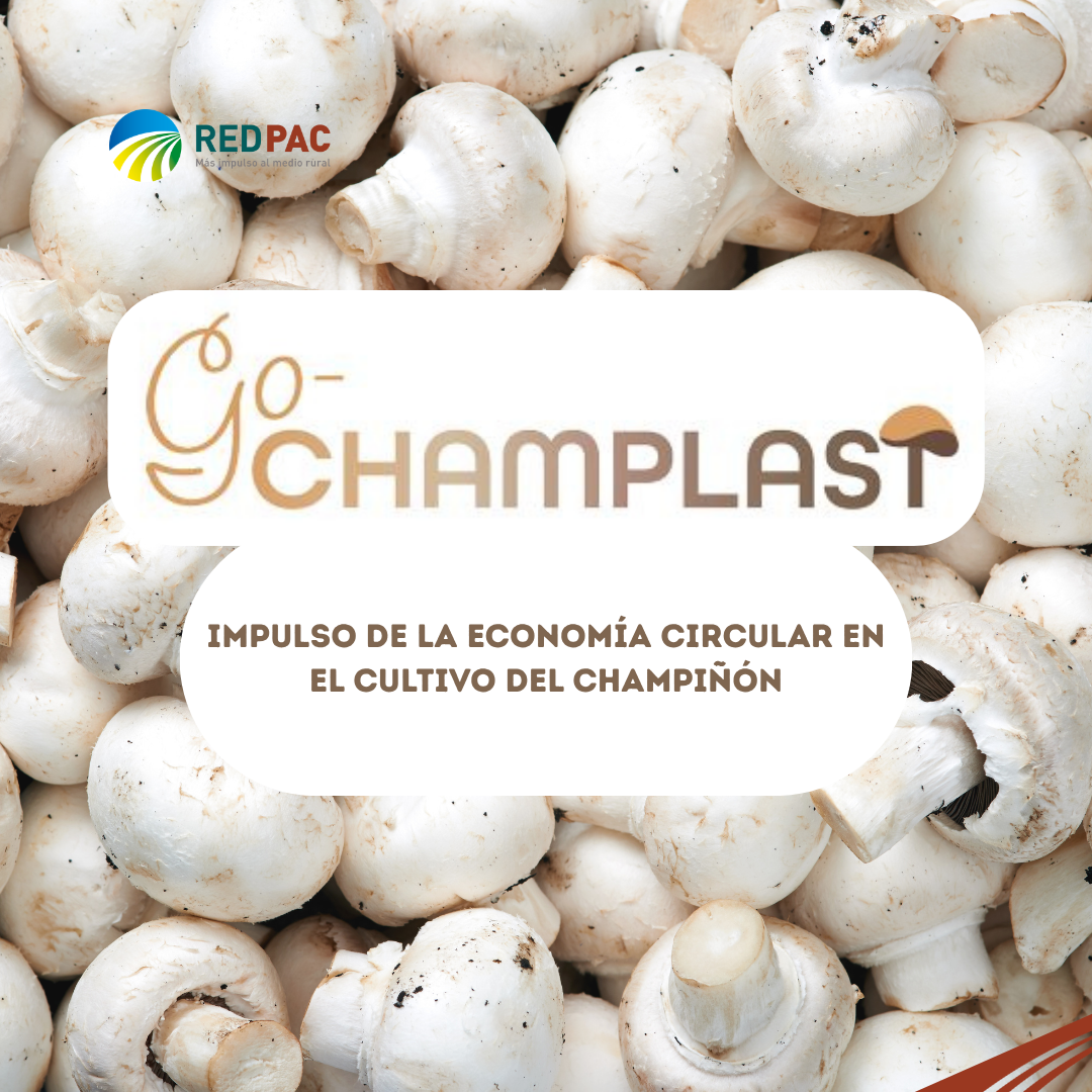 El Grupo Operativo CHAMPLAST impulsa la economía circular en el cultivo del champiñón