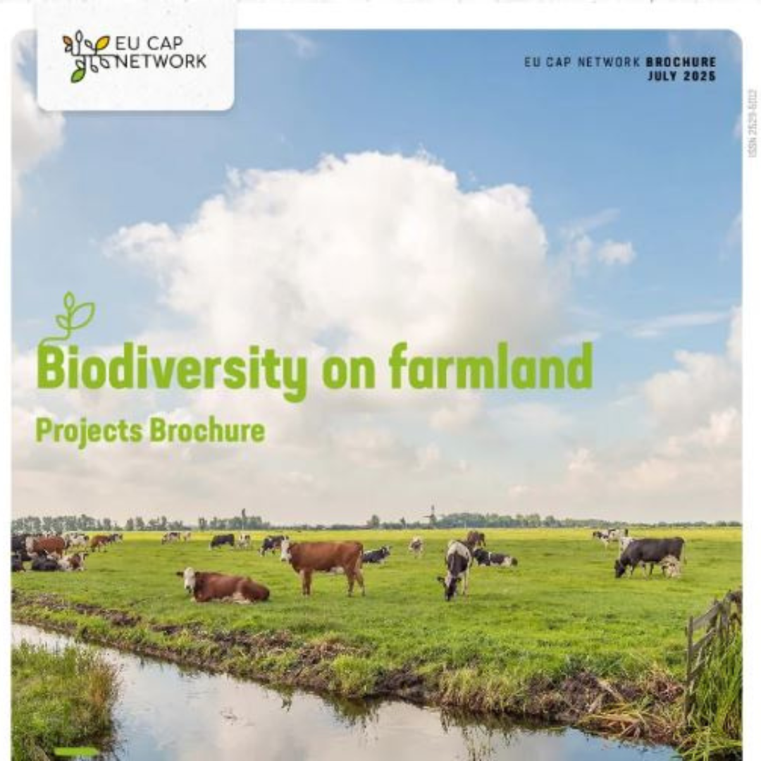 Folleto de proyectos "Biodiversidad en tierras agrícolas"