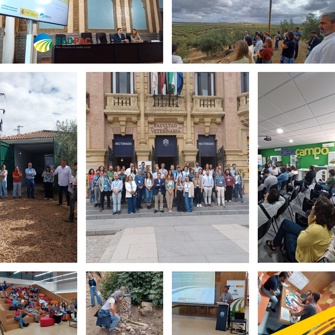 La Red PAC organiza en Andalucía un intercambio de experiencias entre Grupos Operativos y Proyectos Innovadores sobre la gestión sostenible de los recursos naturales en el sector agrario