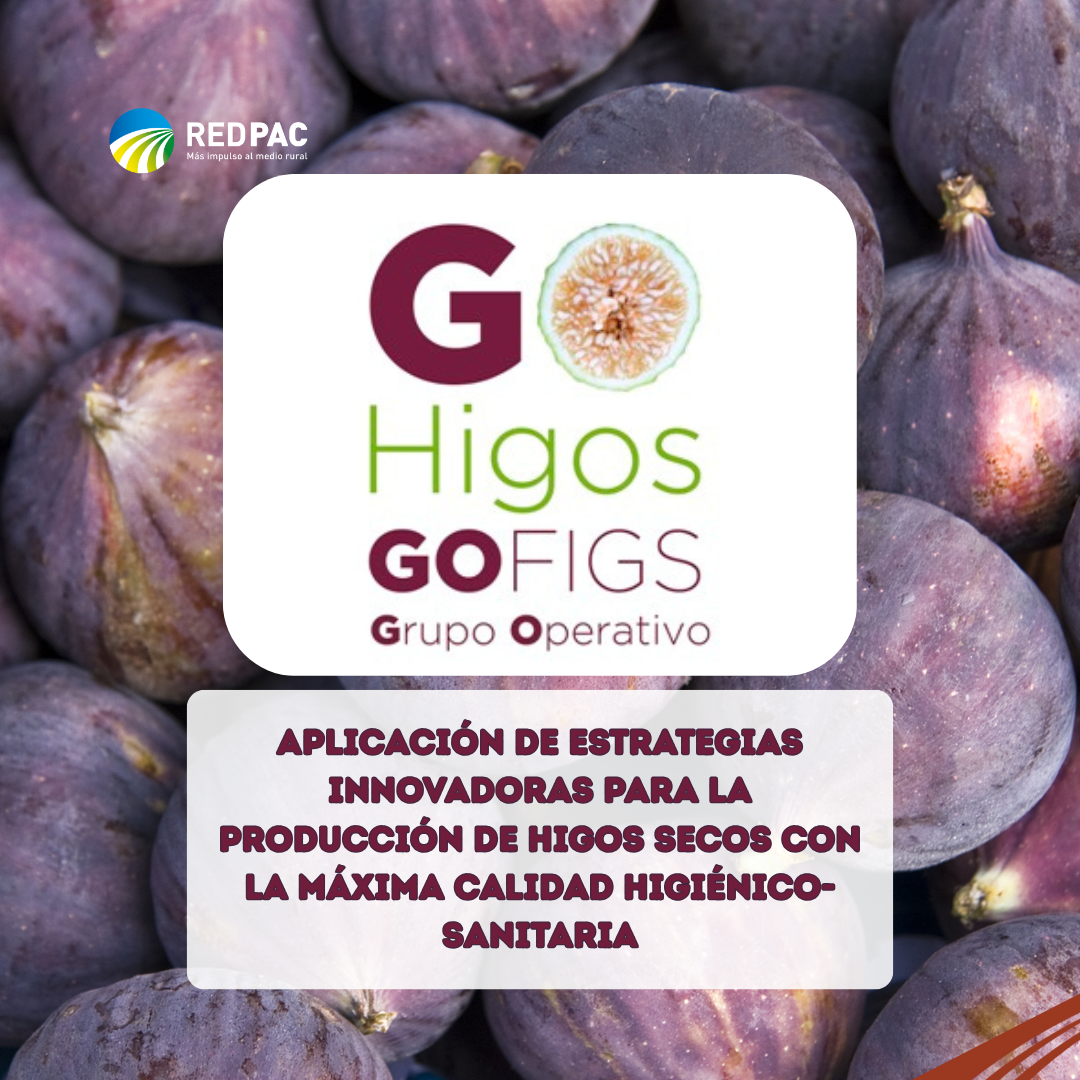 El Grupo Operativo HIGOS busca conseguir que el higo español sea un producto más seguro y competitivo a través de la investigación, la tecnología el distintivo de calidad