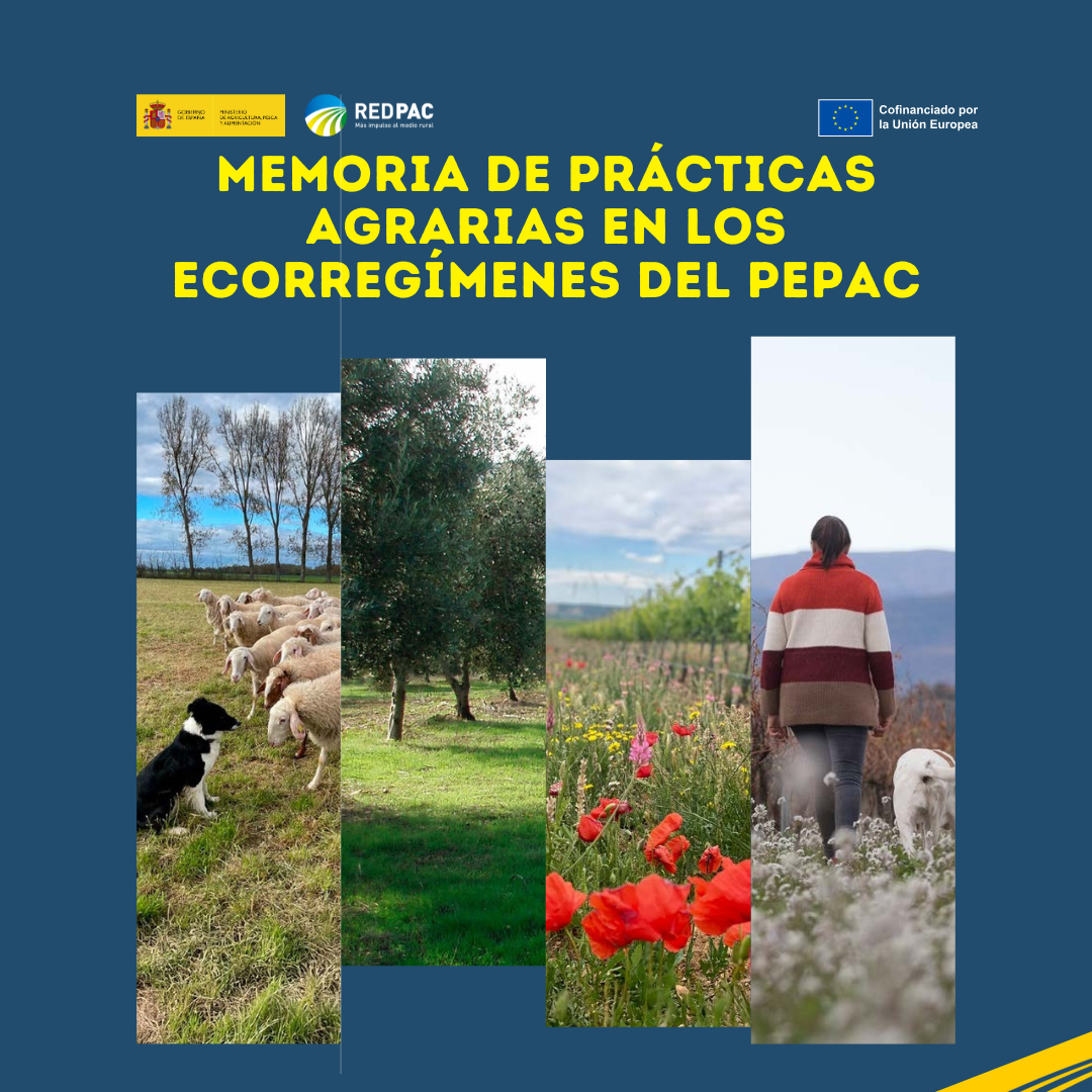 La Red PAC publica la “Memoria de prácticas agrarias en los ecorregímenes del PEPAC”, una práctica guía con sus requisitos y ejemplos reales