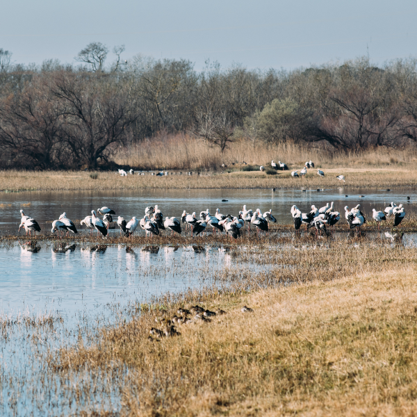 Biodiversidad y paisaje