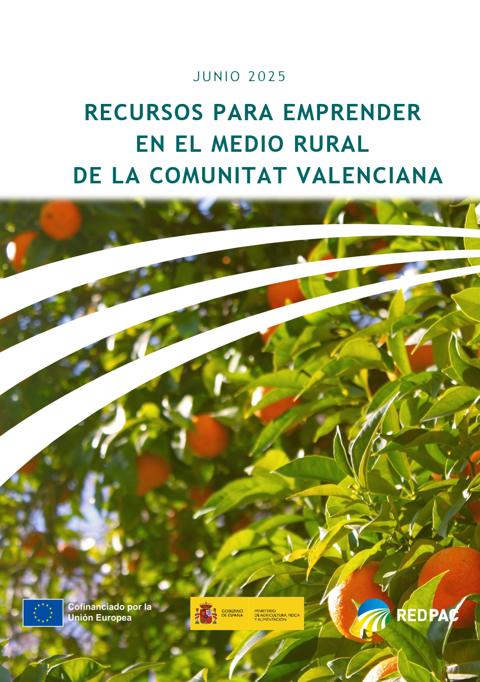 RESOURCES FOR ENTREPRENEURSHIP IN RURAL AREAS OF THE VALENCIAN COMMUNITY