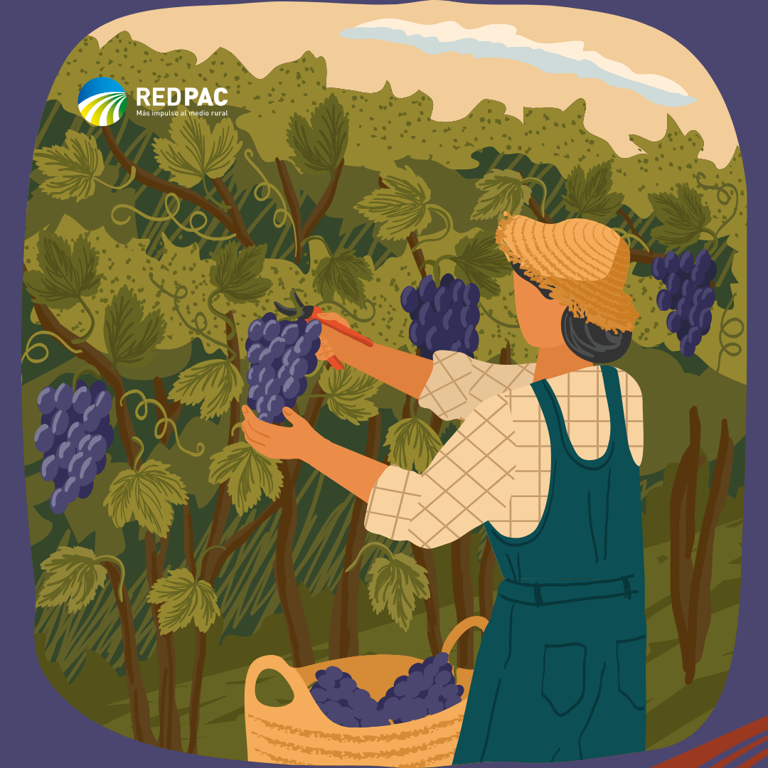 Boletín Red PAC - AGOSTO 2025 La Red PAC presenta su boletín de noticias para que las experiencias del mundo rural español puedan llegar a todas las personas, organizaciones e instituciones implicadas en el desarrollo sostenible.