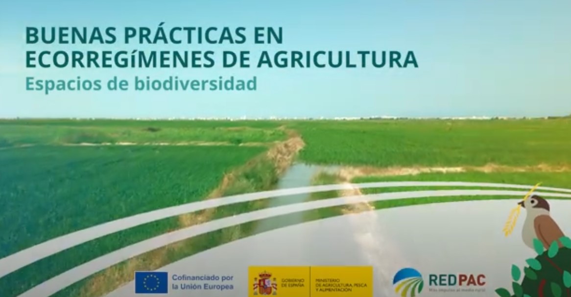Buenas prácticas en ecorregímenes de agricultura: Espacios de Biodiversidad