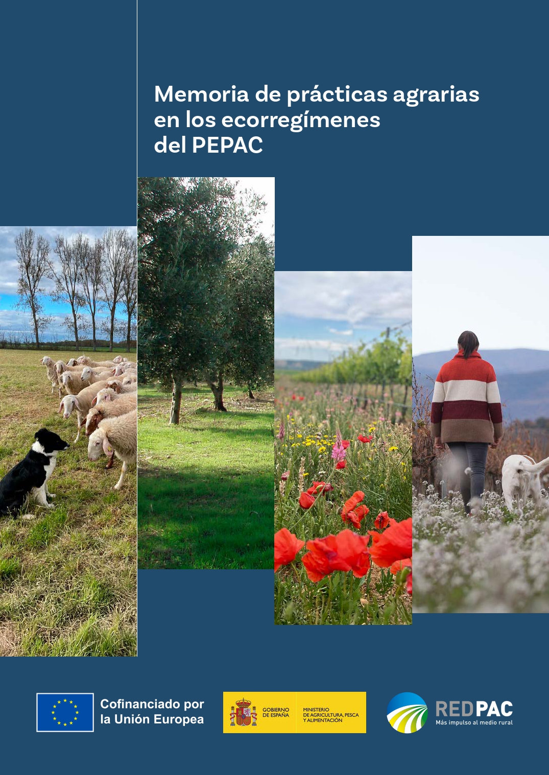 portada_memoria_ecorregimenes