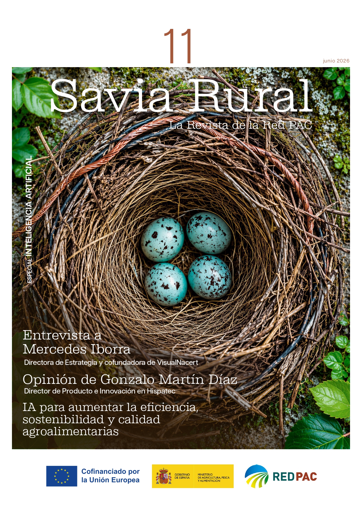 Imaxe de portada de Savia Rural nº 11