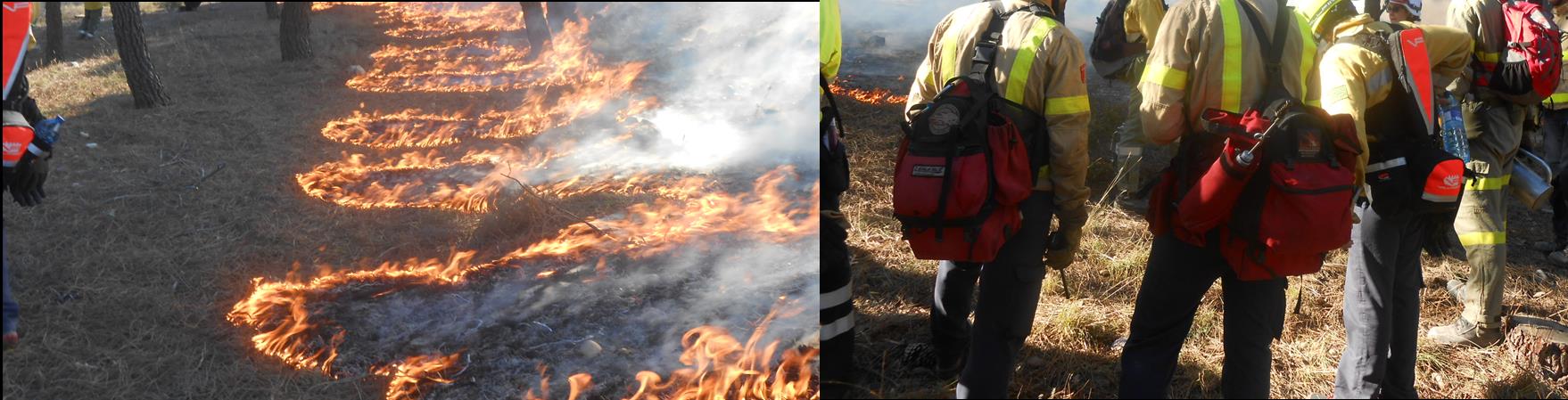 Uso del Fuego en la Planificación y Gestión del Territorio