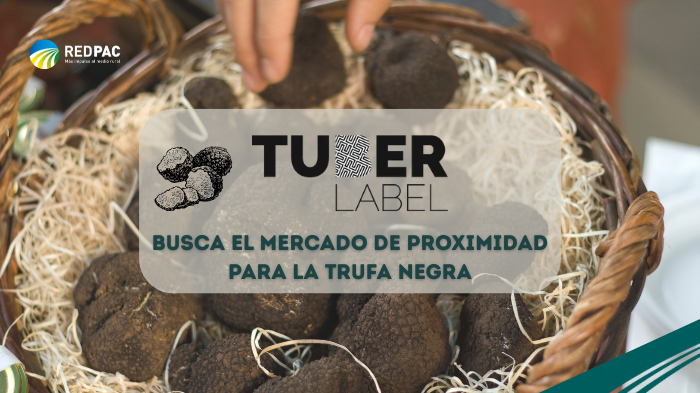 El Grupo Operativo Tuber Label busca el mercado de proximidad para la trufa negra