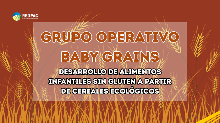 GO BABY GRAINS