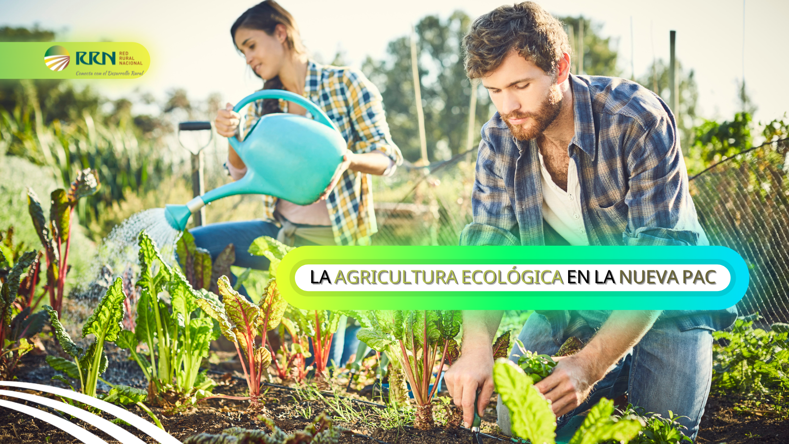 Agricultura ecológica en la nueva PAC
