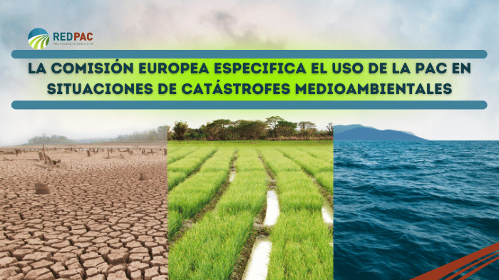 PAC y excepcionalidades climáticas