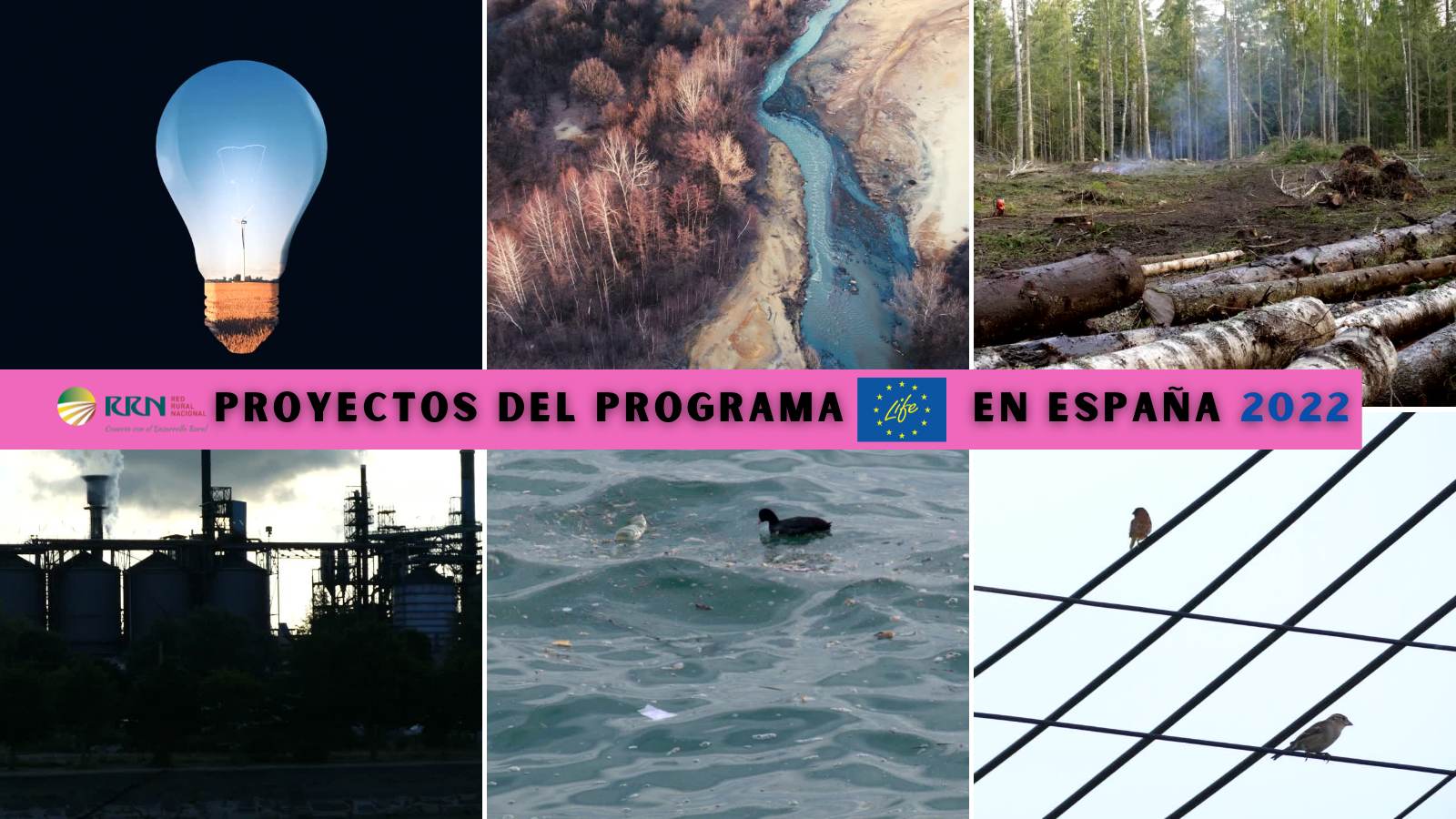 La Comisión Europea da luz verde a 25 proyectos del Programa LIFE en España