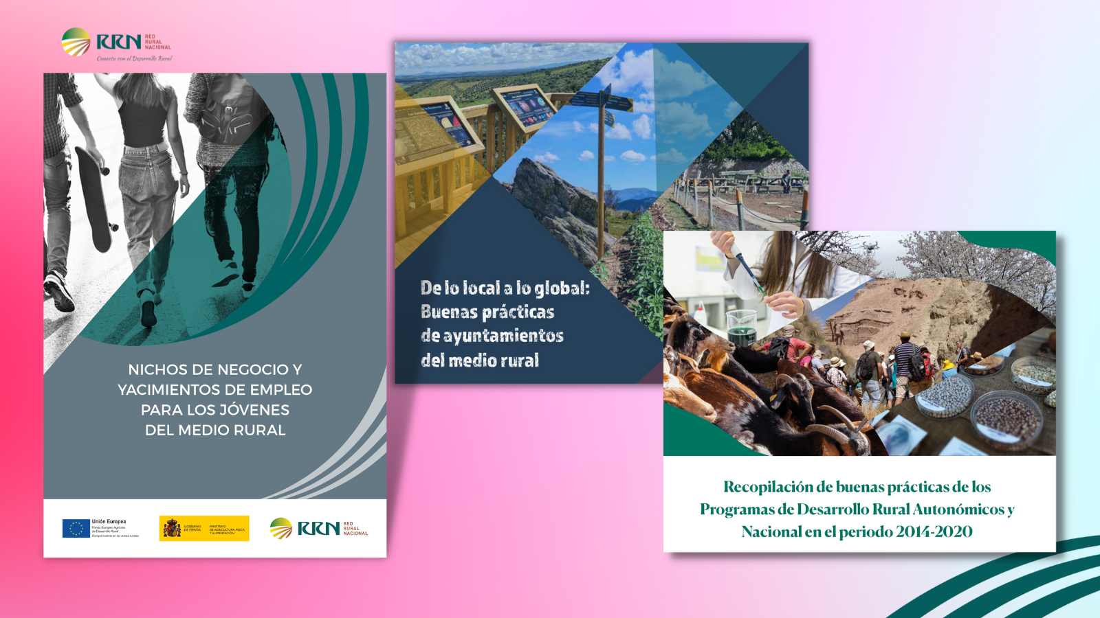 Nichos de empleo y BBPP PDR-PNDR y Ayuntamientos