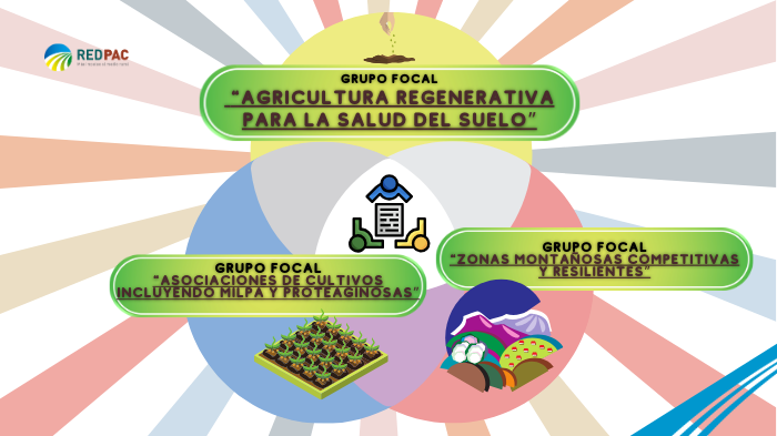 La Red Europea de la PAC constituye 3 nuevos grupos focales en innovación