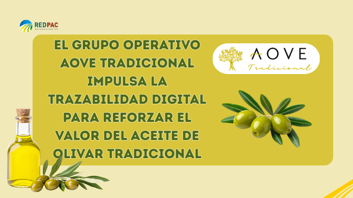 El Grupo Operativo AOVE Tradicional impulsa la trazabilidad digital para reforzar el valor del aceite de oliva tradicional