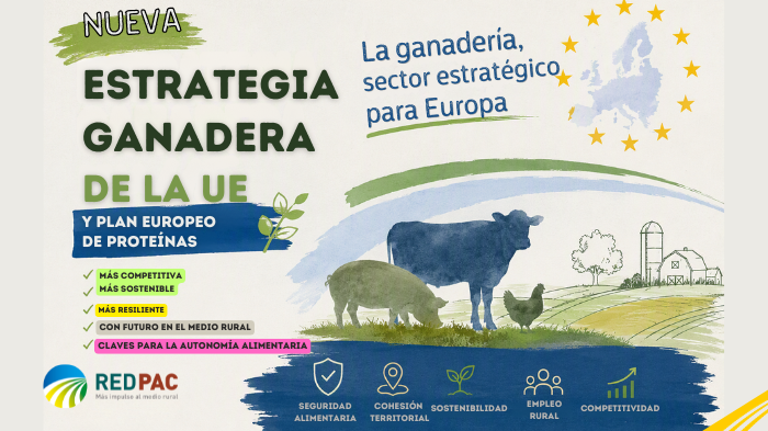 La Unión Europea reconoce el papel estratégico de la ganadería con una nueva Estrategia Ganadera y un Plan Europeo de Proteínas
