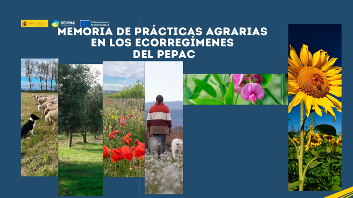 La Red PAC publica la “Memoria de prácticas agrarias en los ecorregímenes del PEPAC”, una práctica guía con sus requisitos y ejemplos reales