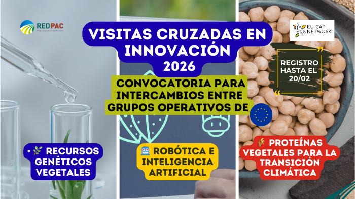 La Red Europea de la PAC impulsa nuevas visitas cruzadas entre Grupos Operativos para fortalecer la innovación agraria en 2026