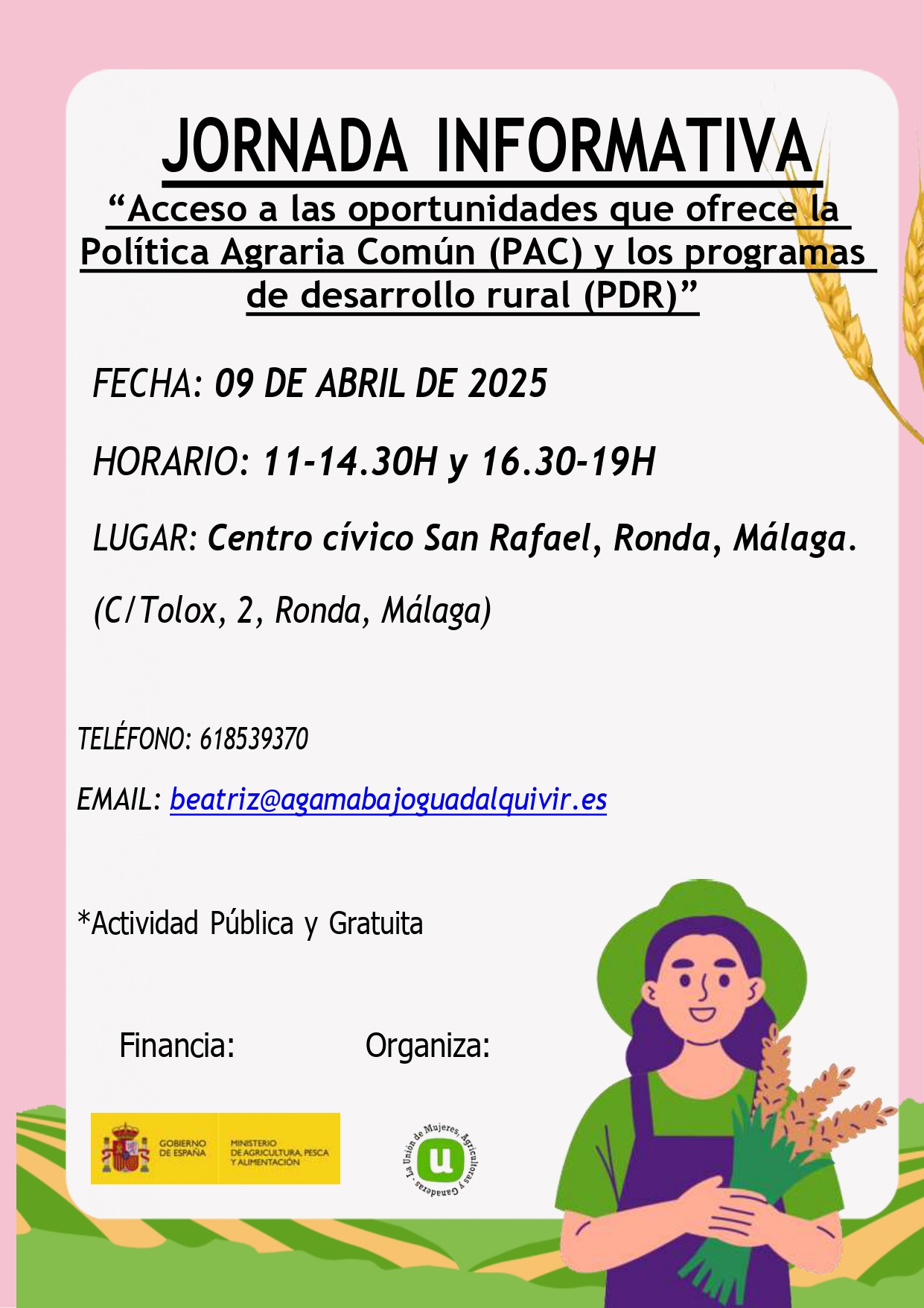 A-17 Publicación da actividade