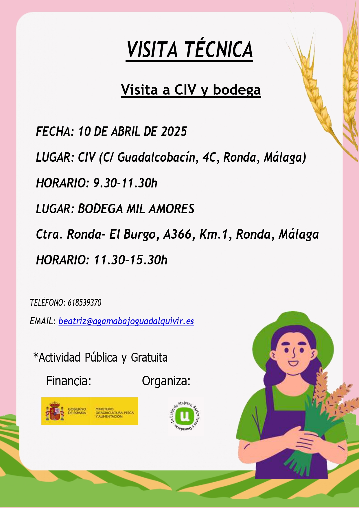 Anuncio de publicación A-17