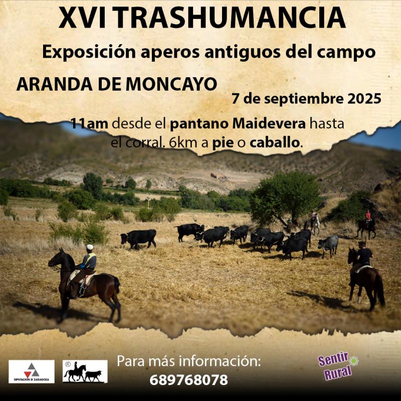 Sentir Rural tiene un compromiso con la trashumancia y lleva realizando este evento en Aranda de Moncayo desde 2012.  Y ya en 2011 por diferentes municipios de Aragón, Navarra y Soria.  A lo largo de millones de años, los humanos han realizado la trashumancia con su ganado. La trashumancia es el traslado del ganado, 2 veces al año, hacia los pastos de verano en zonas altas y vuelta a las zonas bajas (valles y dehesas) para pasar el invierno.   Ser trashumante es más que una forma de pastoreo, es una forma de vida y de un sentir la total conexión con los ciclos de la naturaleza y todo lo vivo. La trashumancia ha tejido un extenso sistema de comunicaciones por toda la península ibérica de vías pecuarias, divididas entre cañadas, cordeles, veredas y coladas que al inicio de este siglo todavía subsisten a lo largo de 125.000 kilómetros y 400.000 hectáreas.  Aranda de Moncayo sigue siendo paso de los trashumantes manteniendo sus vías activas. Desde sus inicios, Sentir Rural ha trabajado en distintas actividades con la trashumancia y trashumantes desde el 2010, dando visibilidad a este oficio y modo de vida que va desapareciendo poco a poco.   Por ello, en esas jornadas, informamos de los numerosos beneficios que proporciona la trashumancia tanto a la sociedad como al medioambiente, manteniendo así una biodiversidad viva y de la fertilidad de nuestros suelos tras su paso. A su vez controla el crecimiento de matorrales actuando de forma eficiente en contra los incendios, entre otros muchos beneficios.  A lo largo de un fin de semana, mediante estas jornadas didácticas e interactivas, recordaremos a esos hombres y mujeres que a lo largo de milenios han contribuido a través de su actividad económica a producir alimentos de calidad contribuyendo a mantener un ecosistema vivo.  En el 2016 la trashumancia fue declarada Patrimonio Inmaterial de la Humanidad y desde 2023 es Patrimonio Cultural Inmaterial de la Humanidad por la UNESCO.  La exposición de aperos antiguos relacionados con la trashumancia y labores del campo es una mirada hacia atrás. Un pasado no tan lejano. Un disfrute por la belleza y calidad de las herramientas hechas a mano y con materiales de la zona.     Exposición sábado 6 y domingo 7 septiembre en la finca y cuadra restaurada en el Molino del Batán de Aranda de Moncayo.  Trashumancia: Recorrido de 14 kms por vías pecuarias del municipio de Aranda de Moncayo. Las personas pueden realizar el trayecto tanto a pie como a caballo.