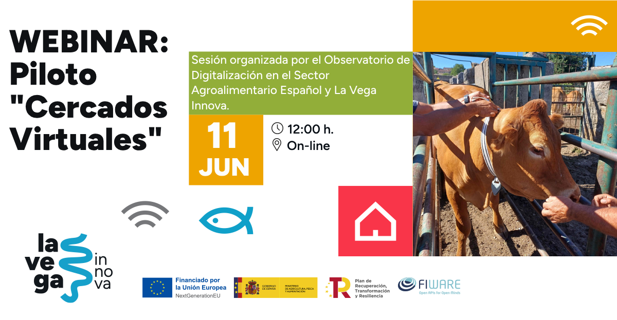 Webinar Cercados Virtuales