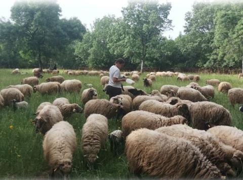 BBPP-780- Imagen-Granja Prados Montes