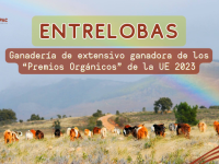 Entrelobas Premios Orgánicos UE 2023