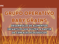 GO BABY GRAINS