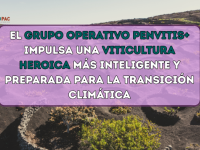 El Grupo Operativo PENVITIS+ impulsa una viticultura heroica más inteligente y preparada para la transición climática